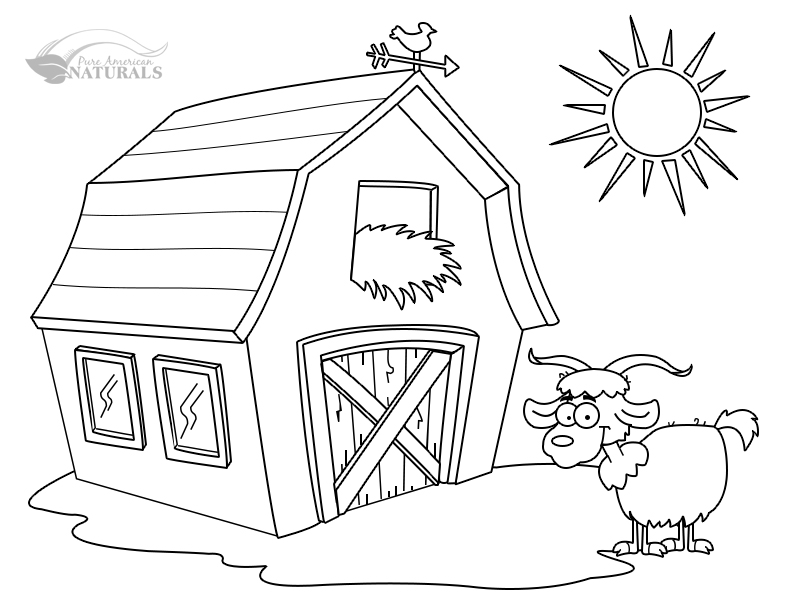 792x612 Pure American Naturals Farm Activities Pages For Kids