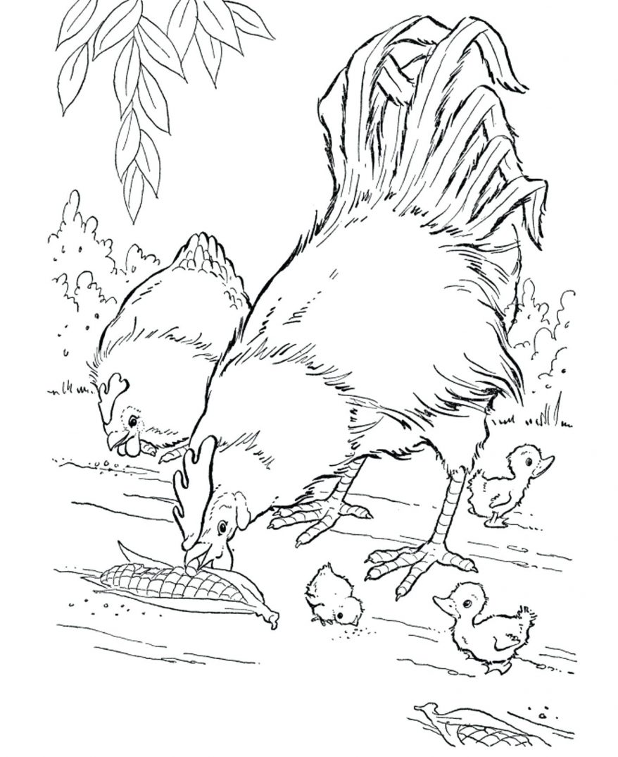 878x1074 Farm Animals Coloring Page 155 Outstanding Pages Printable