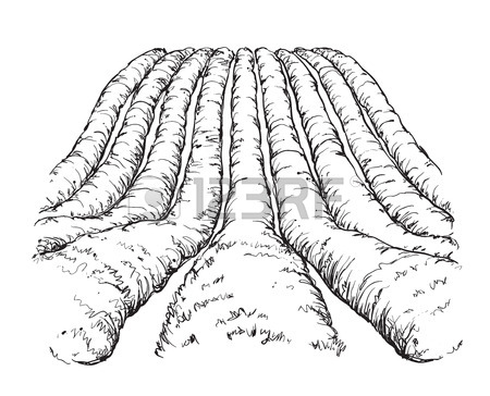 450x364 Farm Landscape Etch, Agriculture Scene. Hand Drawn Fields Royalty