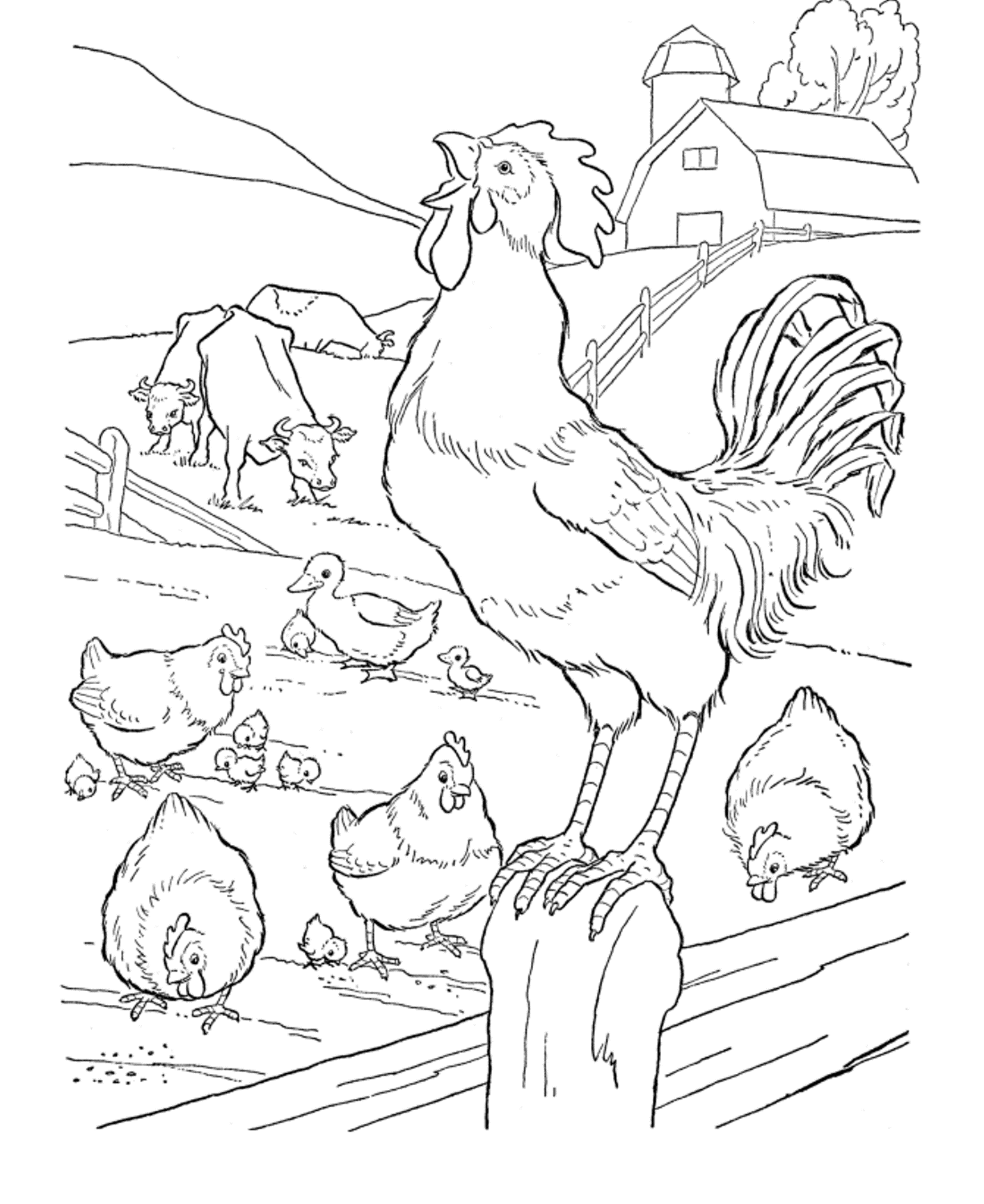 1414x1730 Farm Animals Coloring Pages Hens And Rooster How To Draw A Hen
