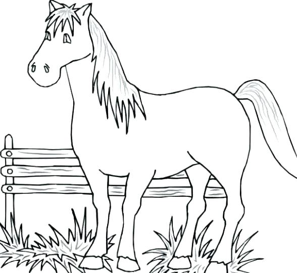 588x541 Farm Pictures To Print Animal Coloring Sheets To Print Farm Animal