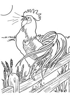 236x324 Farm Animal Coloring Pages These Free Printable Farm Animal