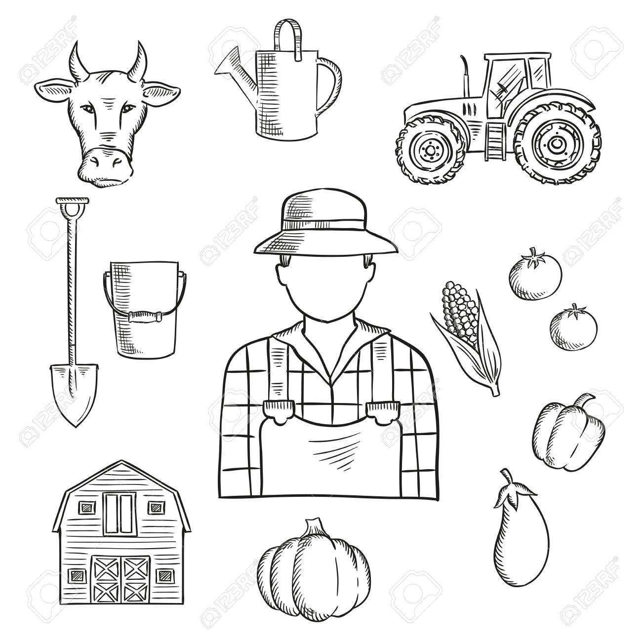 1300x1300 Sketch Of Farmer Or Farm Worker With Tractor, Barn, Fresh Tomatoes