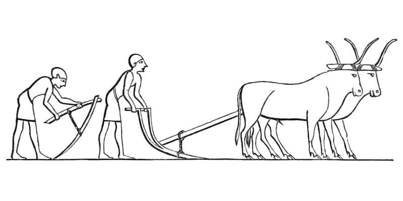 800x400 Peg Anthropocene To First Farmers