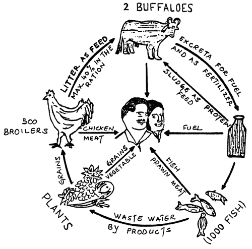 500x494 Integrated Livestock Fish Production Systems