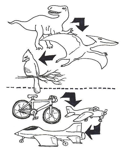 400x500 Of Bicycles And Bipeds Farming Flying Forms Roy Christopher
