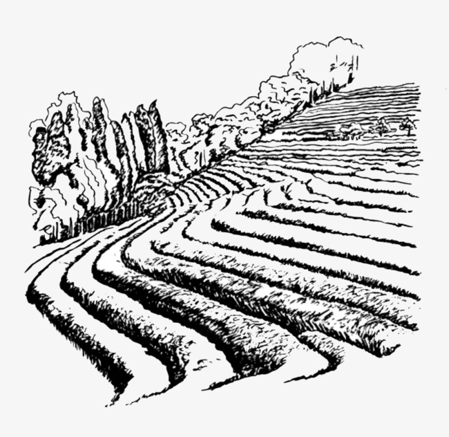 650x632 Black Pen Sketches The Farmland Terrace Illustrations, Black, Pen