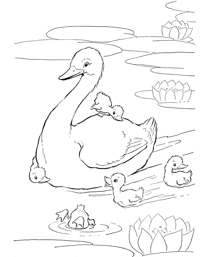 670x820 Farm Animal Coloring Page Ducks In The Pond Quilt Blocks