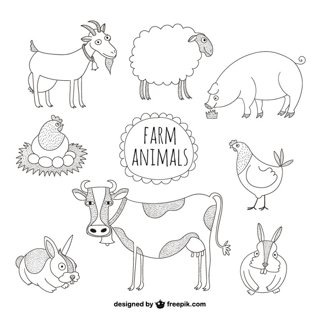 626x626 Farm Animals Illustrations Vector Free Download