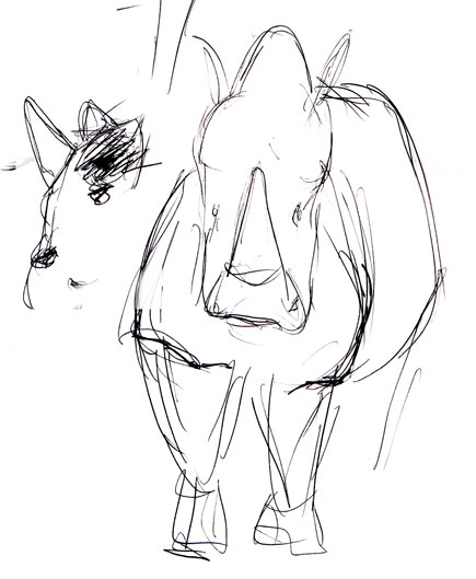 435x529 Life Drawing Branjo Farms