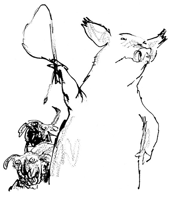 572x657 Animal Farm' Flawless! Eye Of Lynx