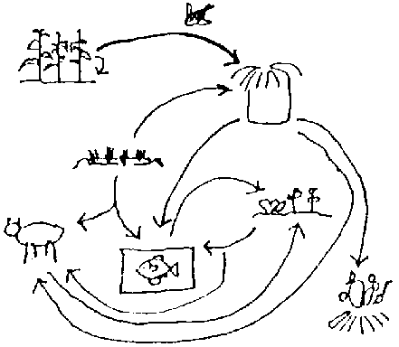 441x384 Workshop To Produce An Information Kit On Farmer Proven Integrated
