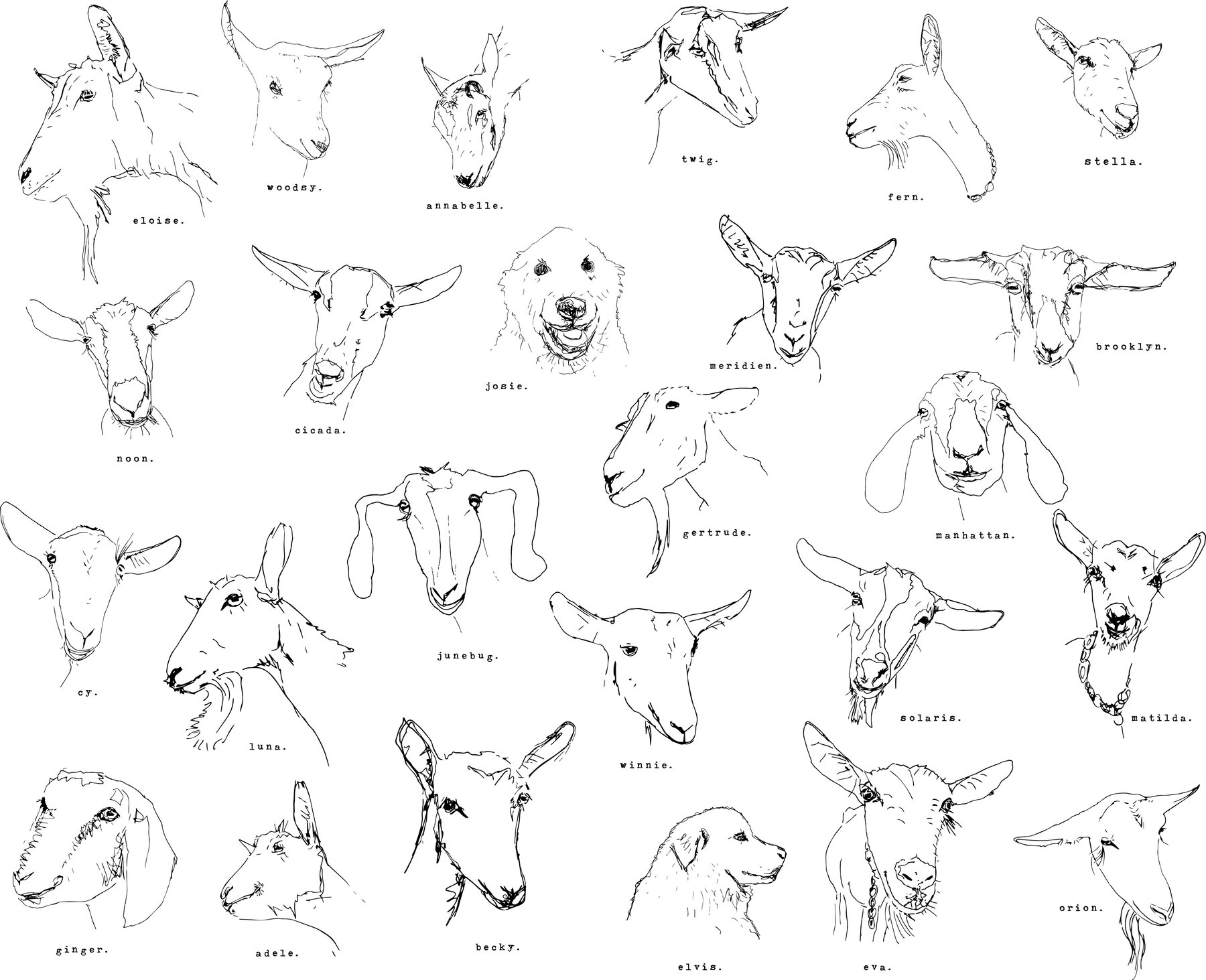 1800x1463 Big Picture Farm