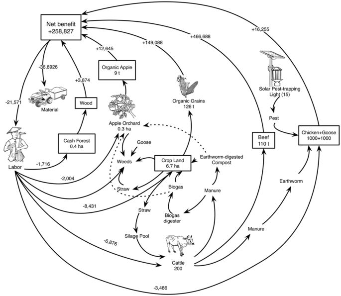 685x595 Biodiversity Management Of Organic Farming Enhances Agricultural