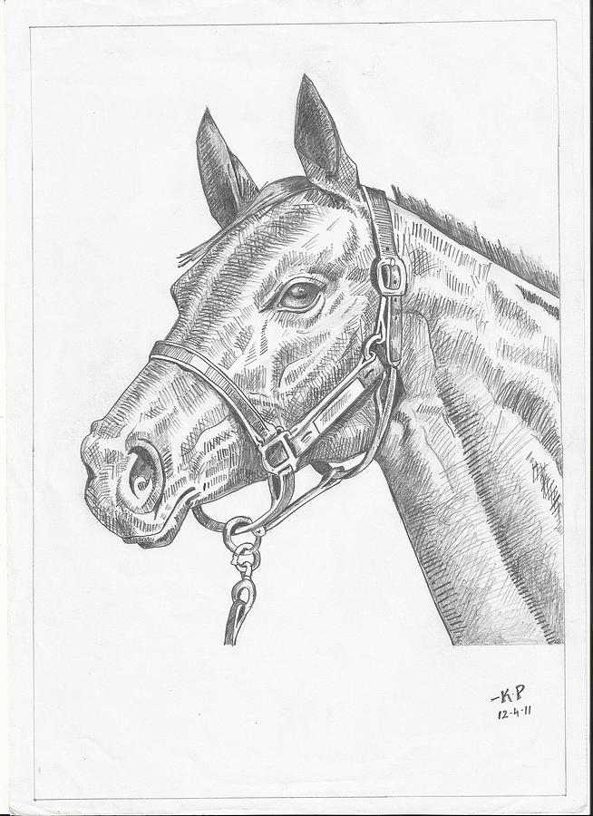 654x900 And Furious Drawing By Ramkumar Kp