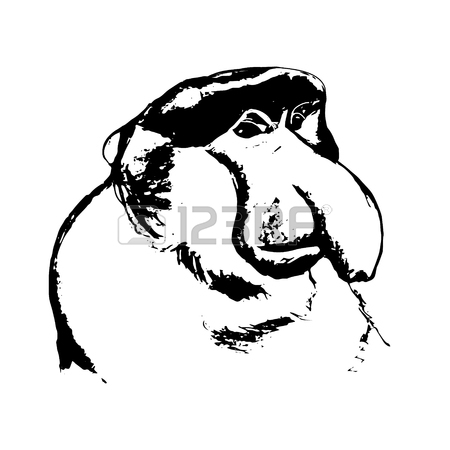 450x450 The Graphic Image Of The Monkey, Big Nose, Head. The Freehand
