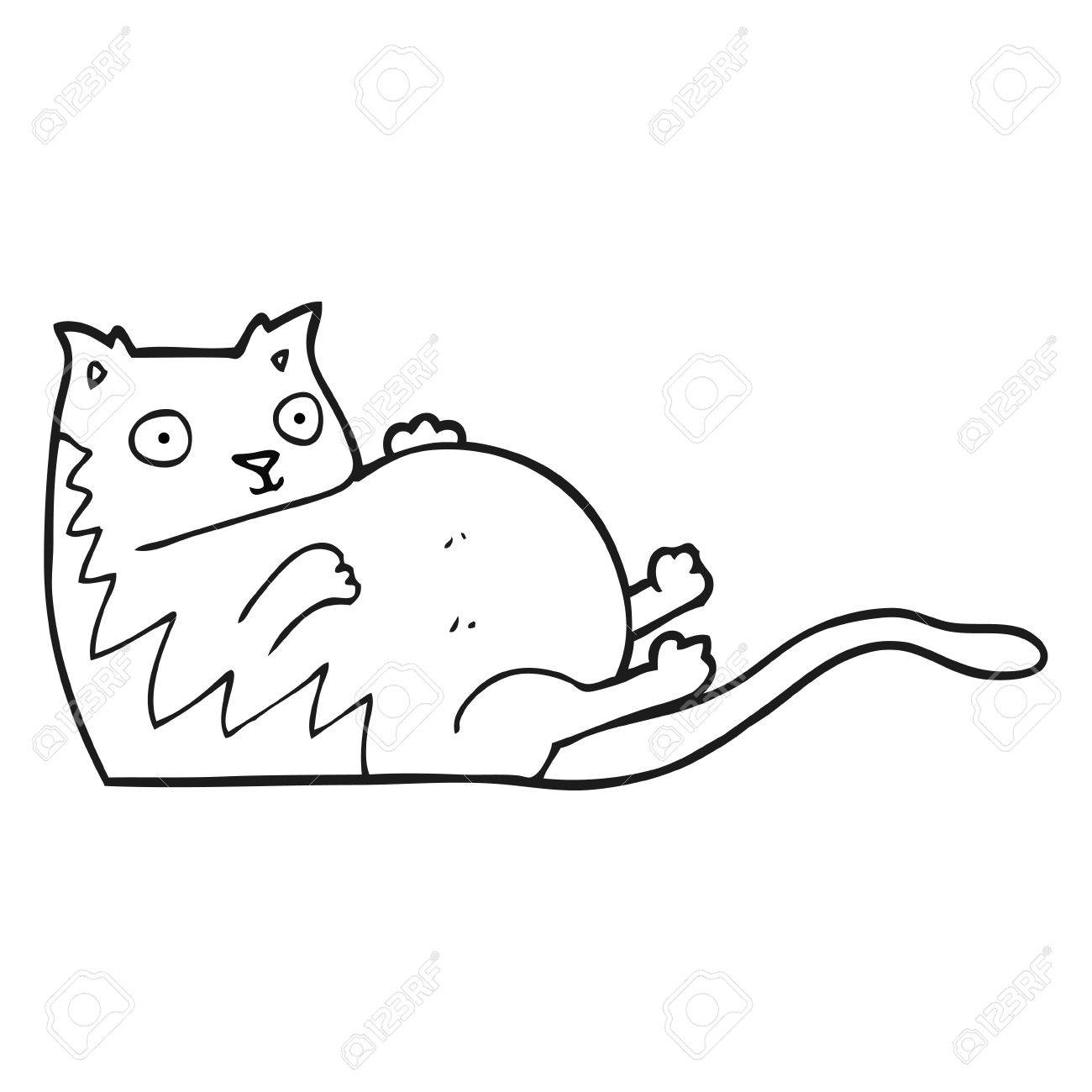 1300x1300 Freehand Drawn Black And White Cartoon Fat Cat Royalty Free