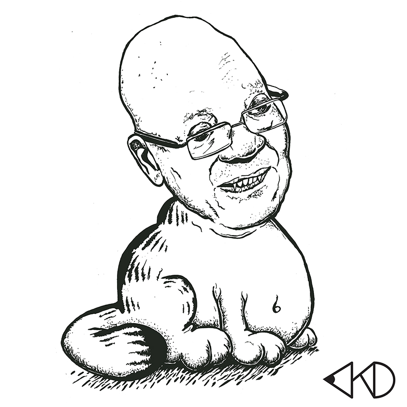 800x800 Kitchen Dutch Fat Cat Piet