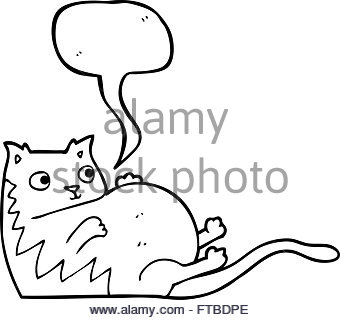 340x320 Freehand Drawn Cartoon Fat Cat Stock Vector Art Amp Illustration