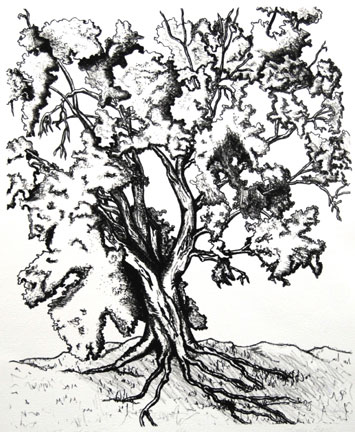 355x432 Father Time Mother Nature