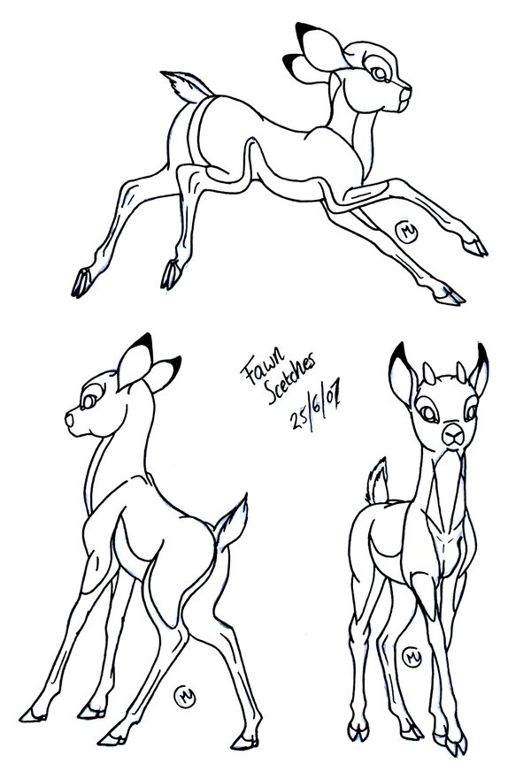 600x880 Fawn Sketches By Leedassin