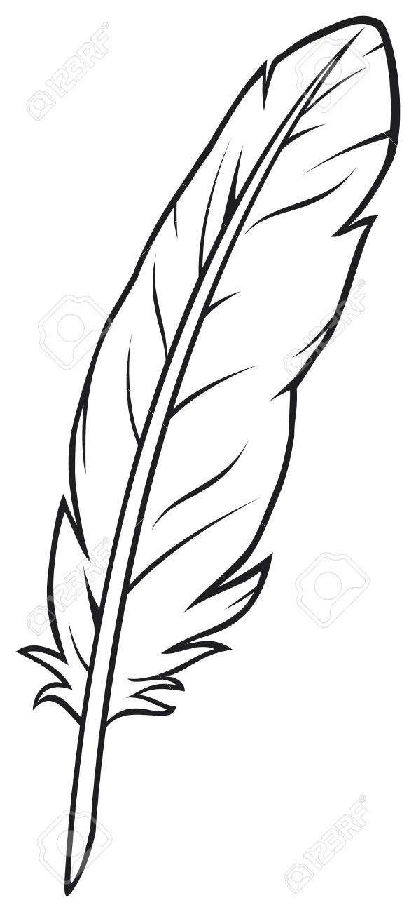 594x1300 Feather Royalty Free Cliparts, Vectors, And Stock Illustration