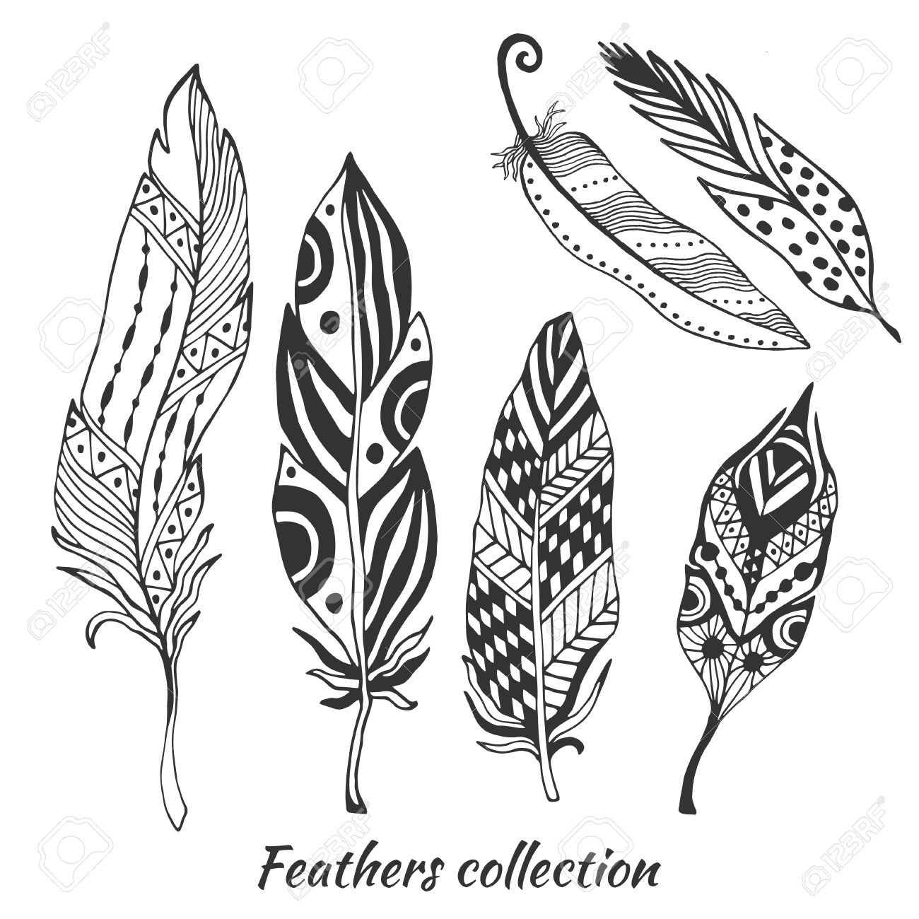 1300x1300 Hand Drawn Stylized Feathers Vector Collection. Set Of Doodle