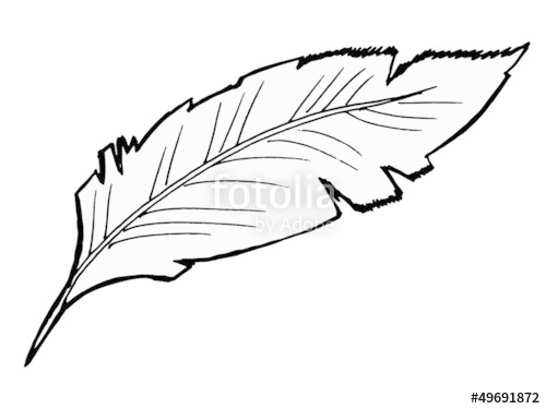 500x375 Hand Drawn, Vector, Sketch Illustration Of Feather Stock Image