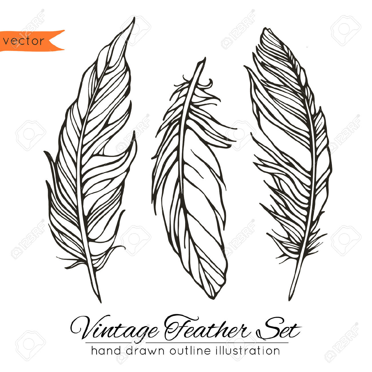 1300x1300 Image Result For Many Feathers Drawing Tattoo Designs