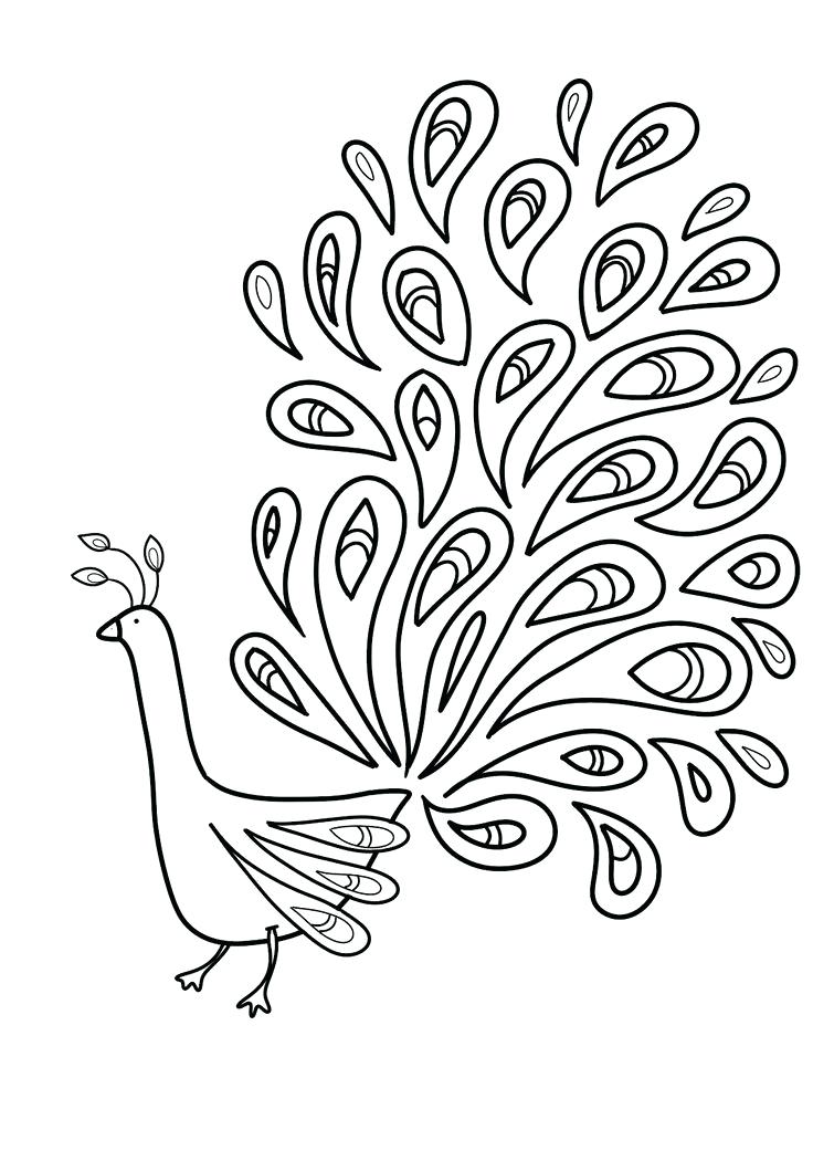 736x1041 Peacock Feather Coloring Page Feather Coloring Page Peacock