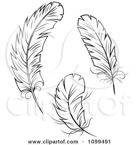 450x470 Dark Grey Feathers Clipart