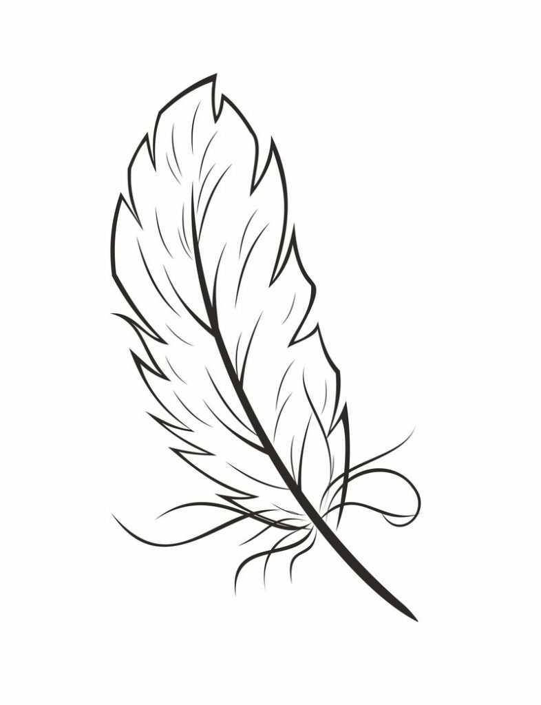 786x1024 Feather Coloring Page Coloring Page For Kids