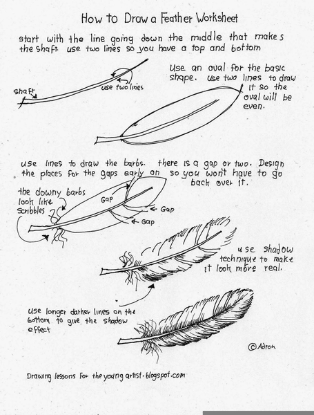 455x600 Feather Drawing Tutorial Alaskainpictures