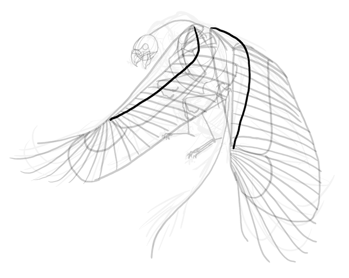 700x557 How To Draw A Griffin