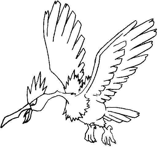 515x479 How Draw Fearow From Pokemon Step By Step Tutorial How