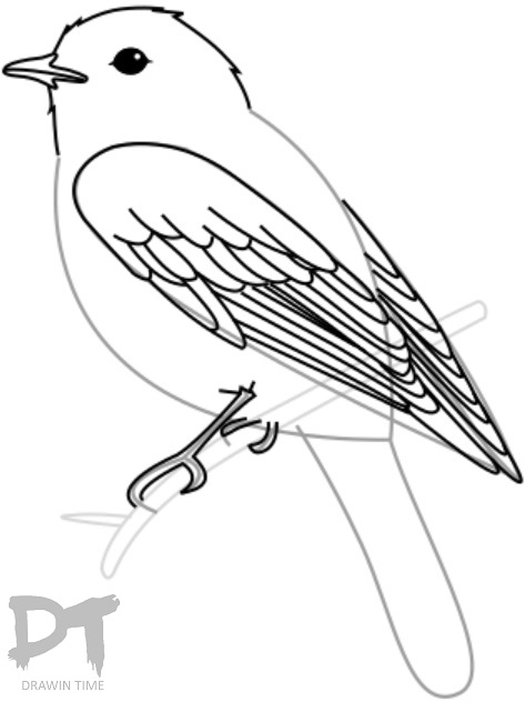 473x632 How To Draw A Bird Drawintime