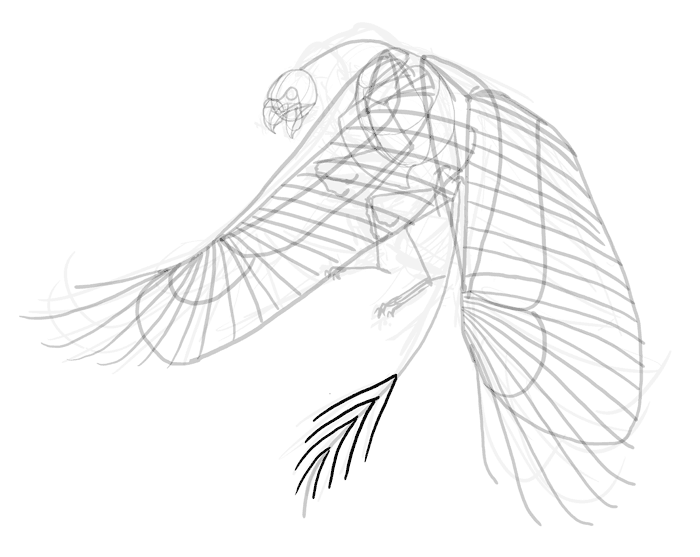 700x557 How To Draw A Griffin