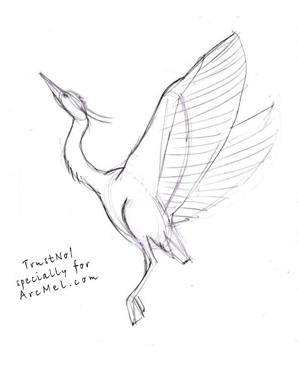 600x753 How To Draw A Heron Step By Step