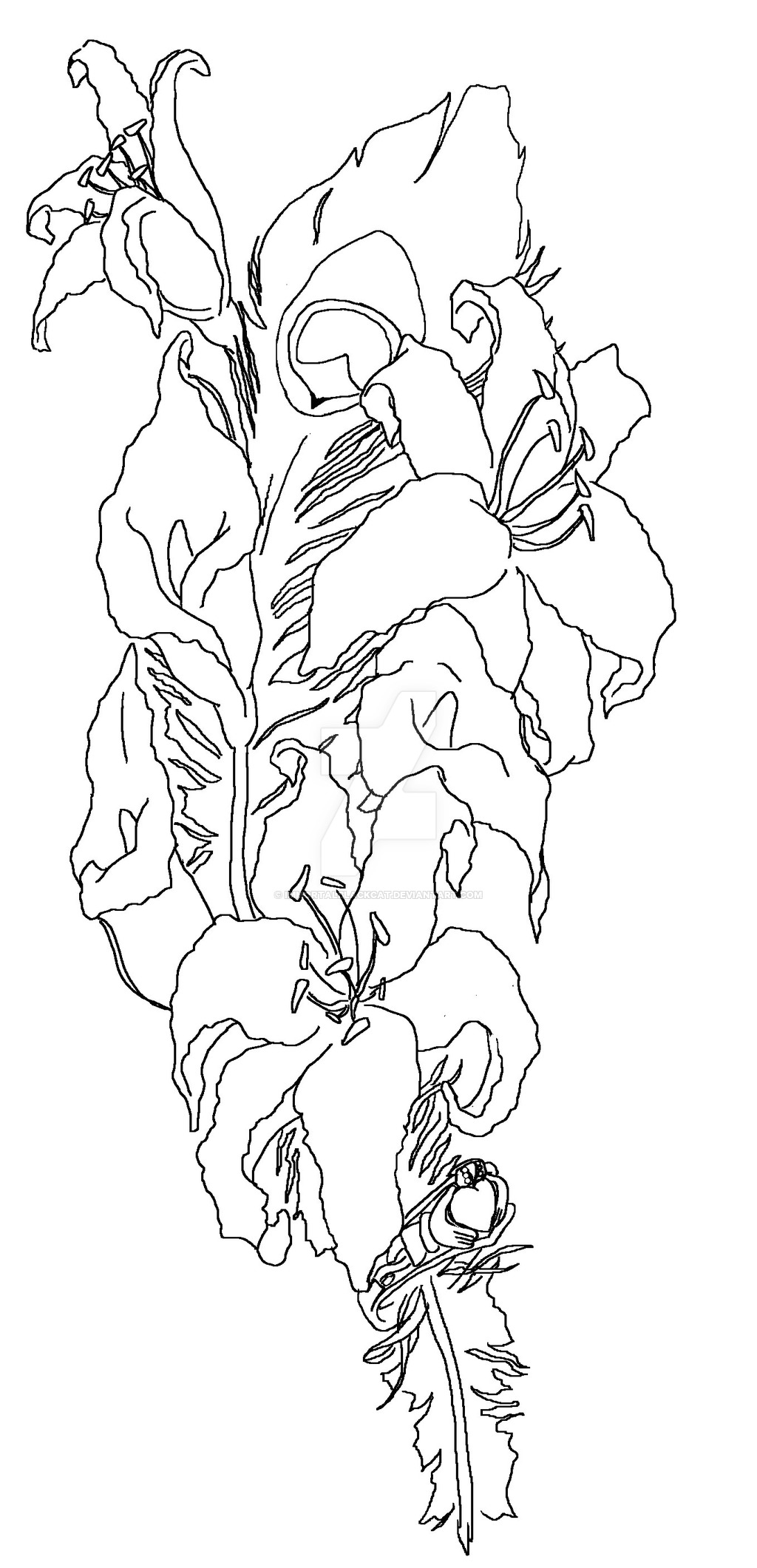 1024x2121 Flowers And Feather With Claddagh Line Art By Immortalblackcat