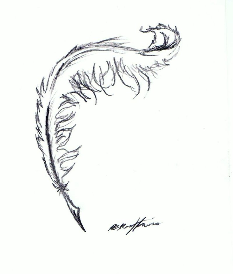 800x940 One More Feather Tattoo Drawing