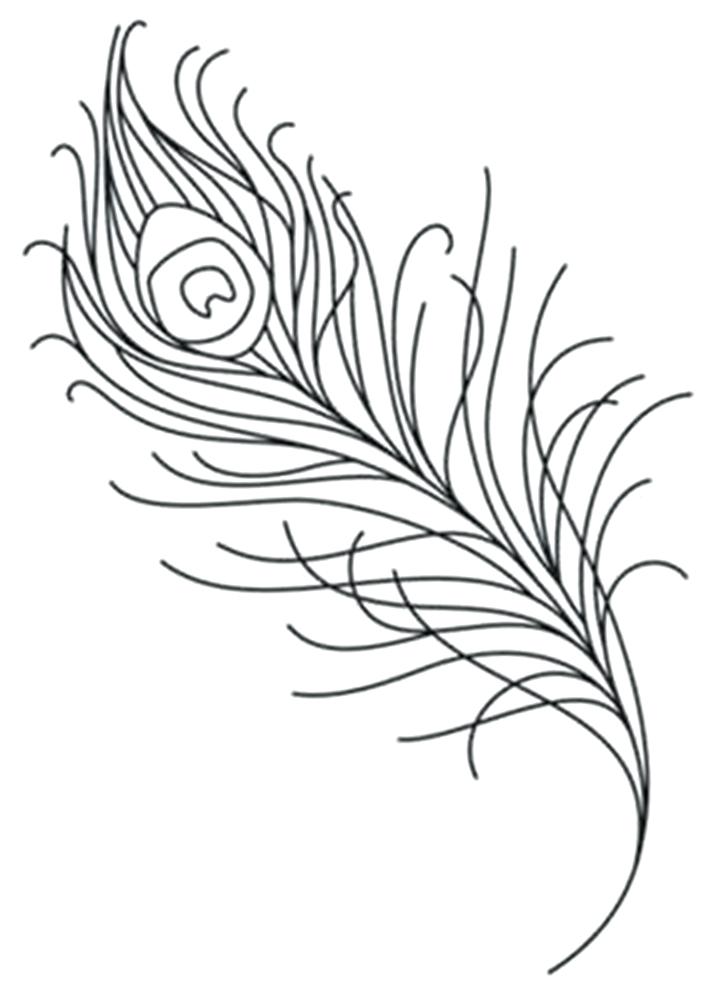 716x998 Peacock Feather Coloring Page Coloring Pages Peacock Adult
