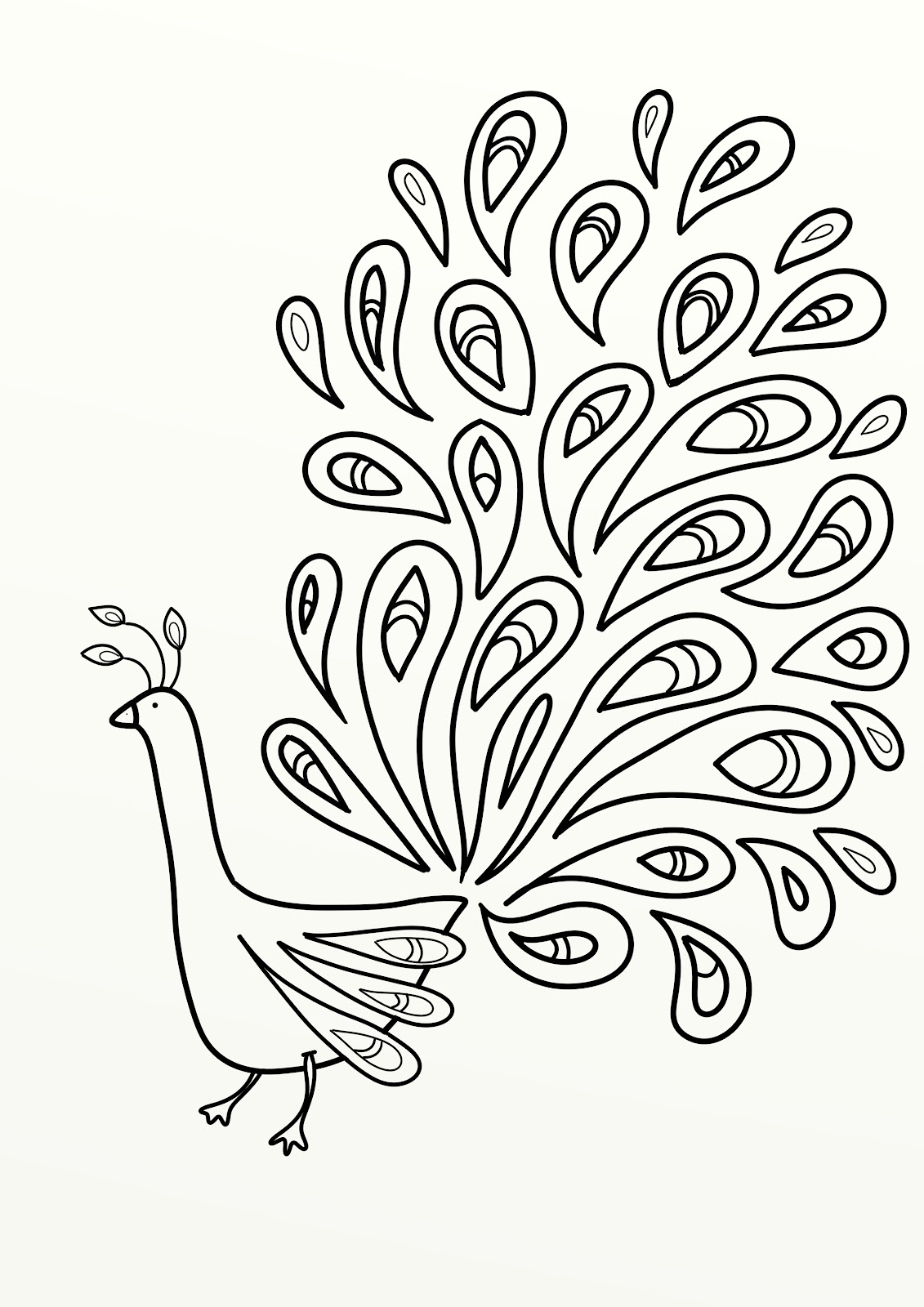 1131x1600 Peacock Coloring Pages
