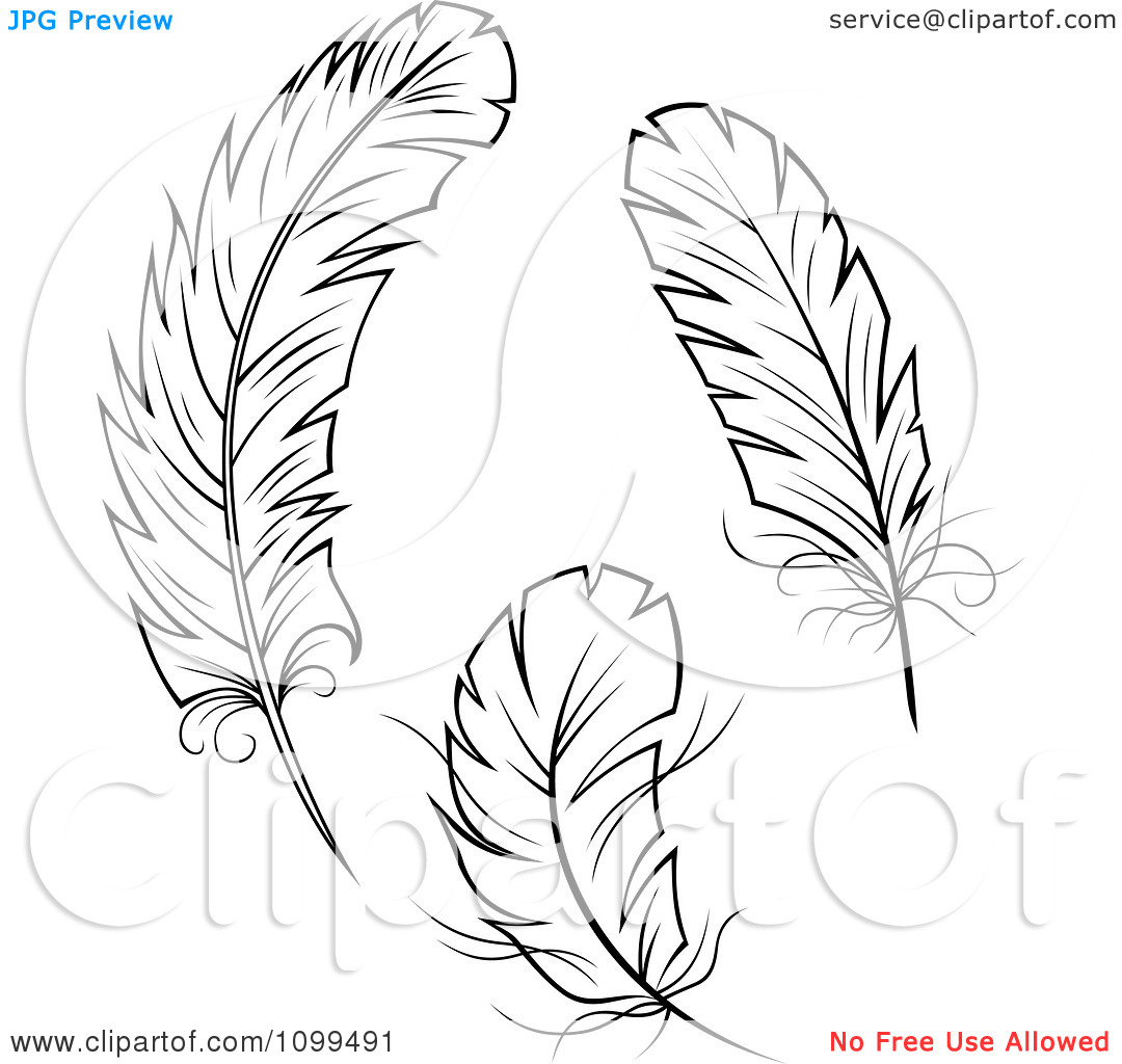 1080x1024 Three Feather Clipart