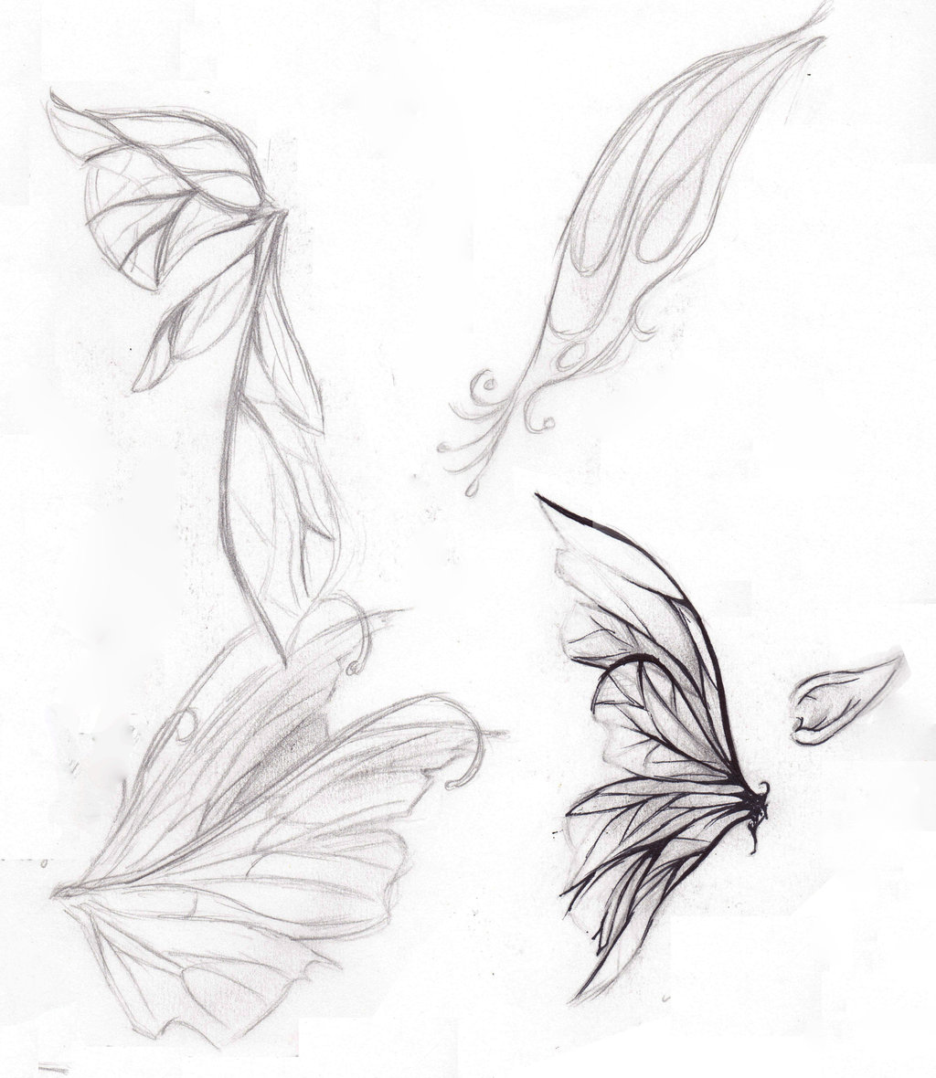 1024x1180 Fairy Wings Drawings