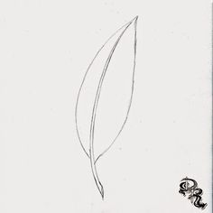 236x236 How To Draw A Feather. In This Lesson I Will Teach You A Fun Way