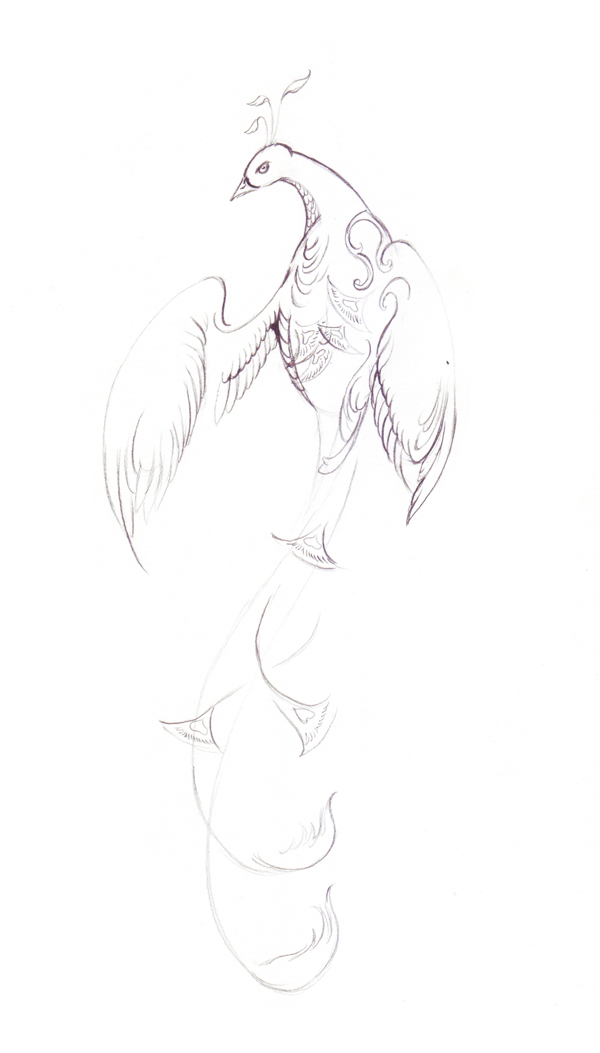 600x1053 How To Draw An Elegant Fantasy Bird With Colored Pencils