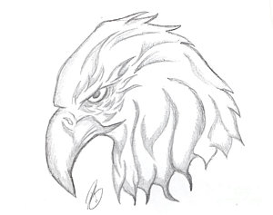 300x237 Pencil Sketch Drawings