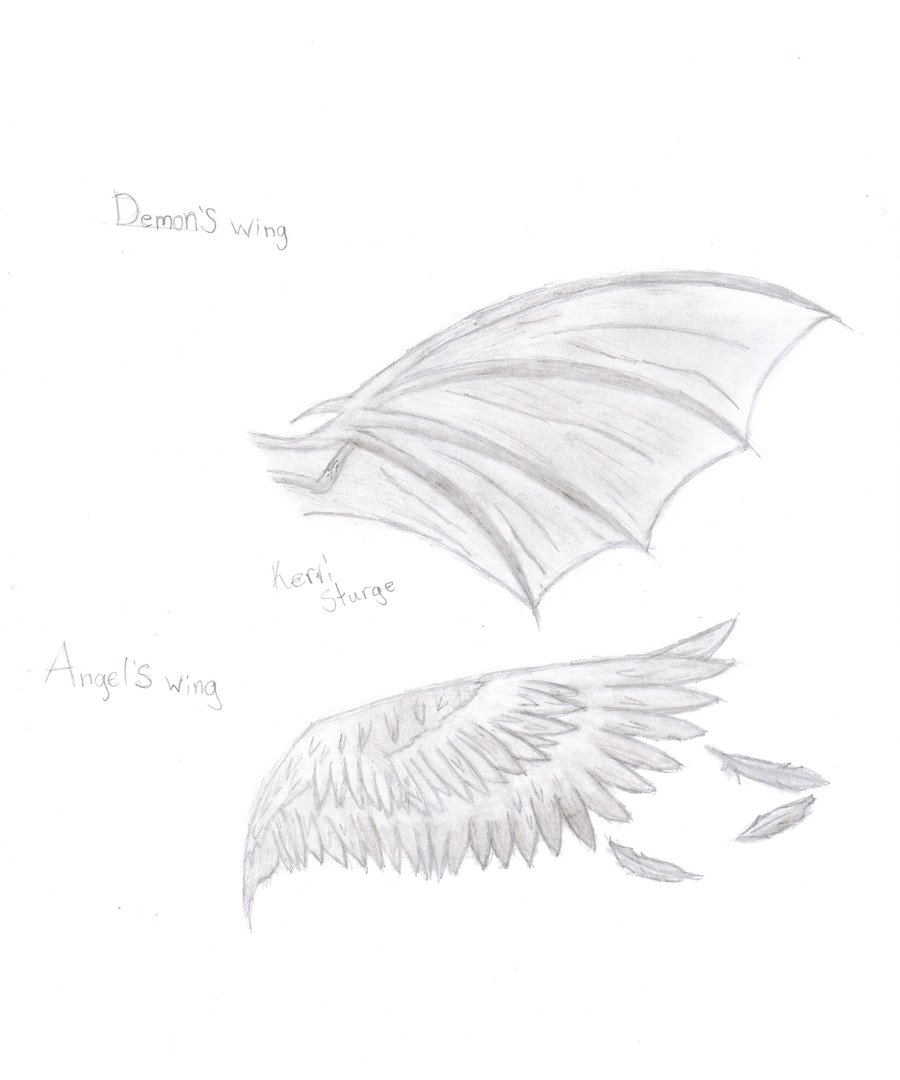 900x1080 Angel And Demon Wings By Shadowdemon86