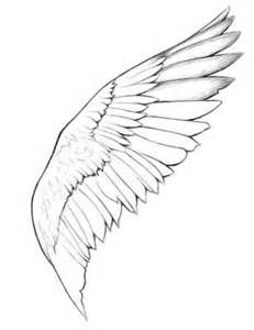 231x300 Wings Pencil Drawings