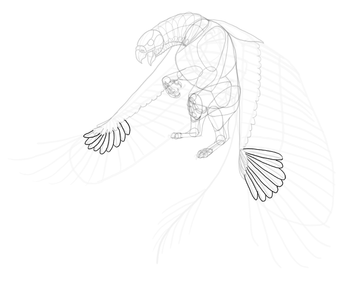 700x567 How To Draw A Griffin